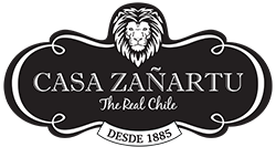 Hotel Casa Zañartu 
